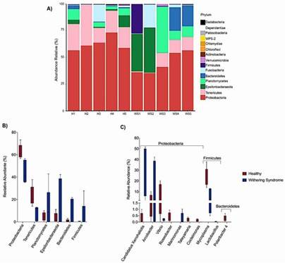 Fig 1. Composition of ARGs and regulatory genes across 26 soil metagenomes. (Qian et al., 2021)